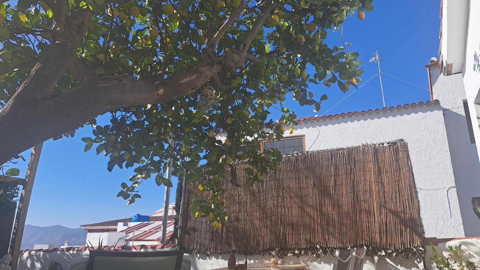 테헤다 Casa Santana Segura 게스트하우스 객실 사진