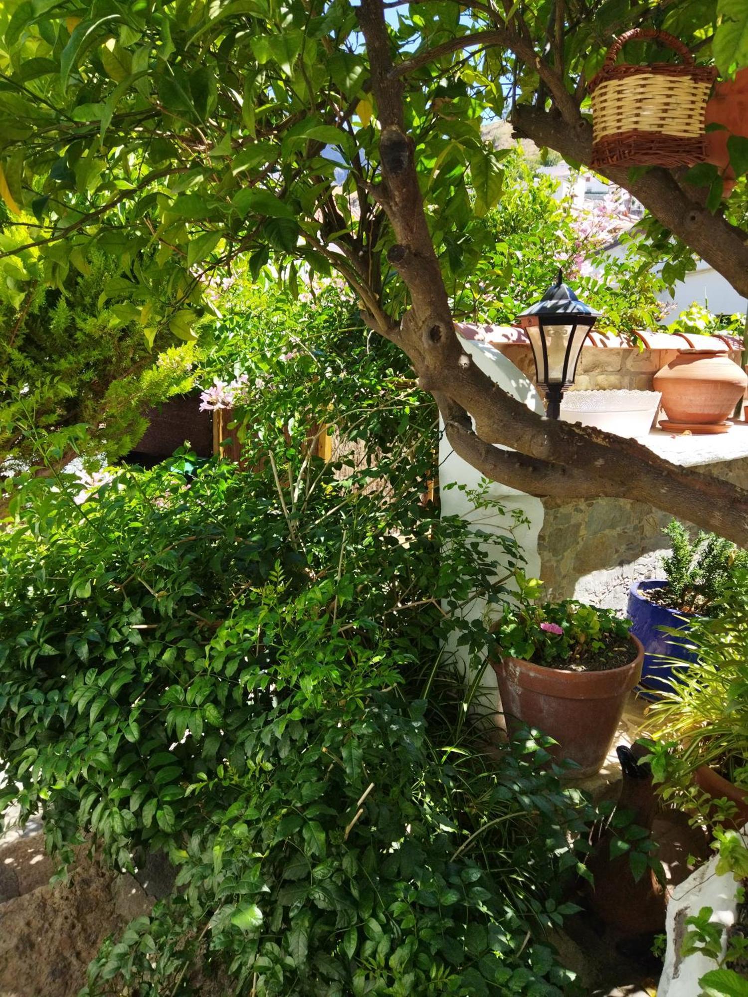 테헤다 Casa Santana Segura 게스트하우스 객실 사진
